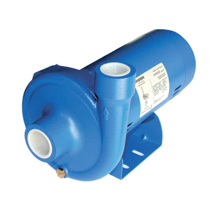 Hyundai 1 HP Water Pump - HWP0021